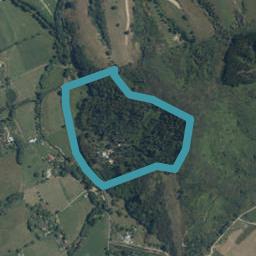 163 Thorpe-Orinoco Road, Ngatimoti