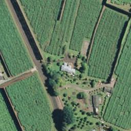 299 No 2 Road, Te Puke, Te Puke