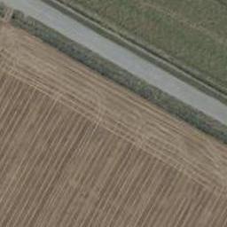 591 Tancreds Road, Lincoln, Lincoln