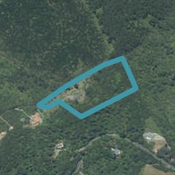 71 Tarapatiki Drive, Whitianga, Whitianga