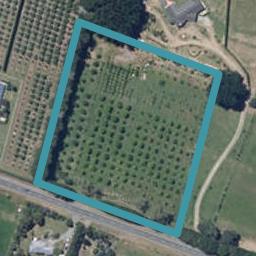 263 Motuiti Road, Foxton, Foxton