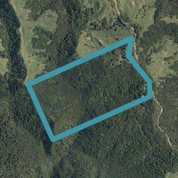 794 Paponga Road, Broadwood, Kohukohu