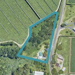 197 Keenan Road, Pyes Pa, Tauranga