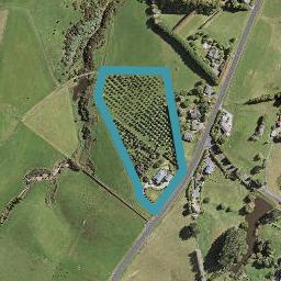 141 Burtt Road, Drury