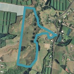 414C Esdaile Road, Whakamarama, Whakamārama