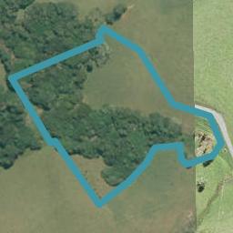 253A Matakana Valley Road, Matakana, Matakana