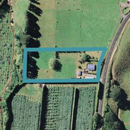 844 No 2 Road, Te Ranga, Te Puke