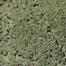 0 North Cove, Kawau Island, Kawau Island