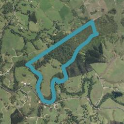 589 Whangaripo Road, WHANGARIPO, WELLSFORD