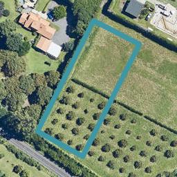 11A Astelia Drive, Omokoroa, Ōmokoroa