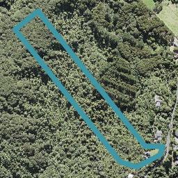 293 Forest Road, WAIATARUA, AUCKLAND