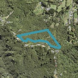 26 Welsh Hills Road, Swanson, Auckland