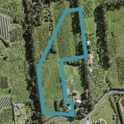 132 Trigg Road, Kumeu, Kumeu