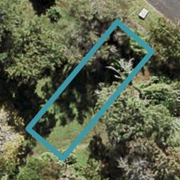 32 Burch Street, MOUNT ALBERT, AUCKLAND
