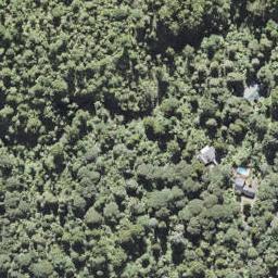 55 Opanuku Road, Henderson Valley, Auckland