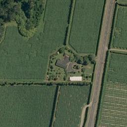 660 No 2 Road, Te Puke, Te Puke