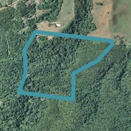 305A Tim Road, Whakamarama, Whakamārama
