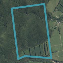 185B Hikuai School Road, Hikuai