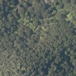 0 Kawakawa-Russell Road, Waikare, Russell