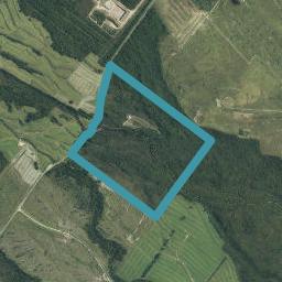 0 S Hway 6 Butlers Shwy, Totara River, Ross