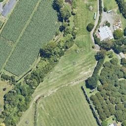 89 Ainsworth Road, Minden, Tauranga