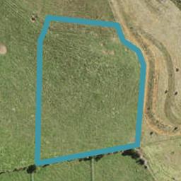295 Runciman Road, Pukekohe