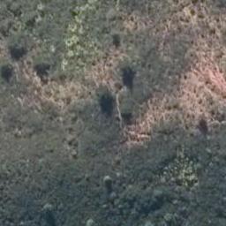 0 Akatere Road, Taupo Bay, Mangonui