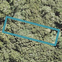 19 Waikarekare Lane, Karekare, Auckland