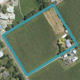95 Vickerman Street, Grovetown, Blenheim