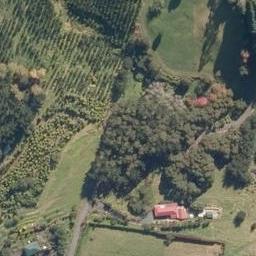 448A Apotu Road, Kauri, Kamo