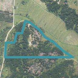 0 Kongahu Swamp Road, Karamea, Karamea