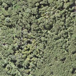 236 Bon Accord Harbour, Kawau Island, Kawau Island