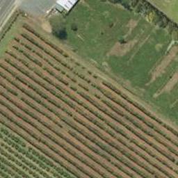 7 Te Uru Lane, Kerikeri, Kerikeri