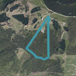 165 Poyner Road, Makarau, Warkworth