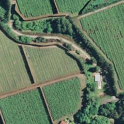 928 Jacks Lane, OROPI, Oropi