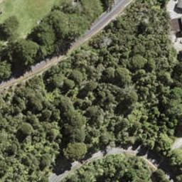 83 Coulter Road, HENDERSON VALLEY, AUCKLAND