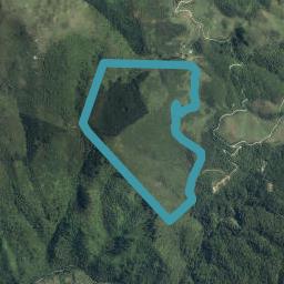 440 Bird Road, Motupipi