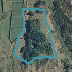 498 Tirohanga Road, Tirohanga, Opotiki