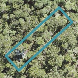 49 Lone Kauri Road, Karekare, Auckland