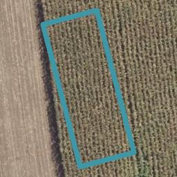 1/15 Anurangi Rise, Peacocke, Hamilton