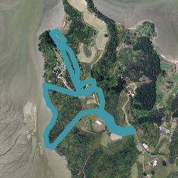 199 Paparoa Road, Wainui, Opotiki