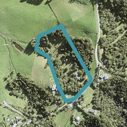 92 Thompson Road, Warkworth, Warkworth