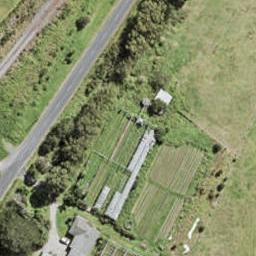 2 Kiokio Place, Swanson, Auckland