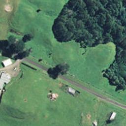 179 Warea Road, Warea, Warea