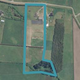 203 Elliotts Road, Cust, Cust