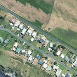 38 Coleman Avenue, Waverley, Waverley