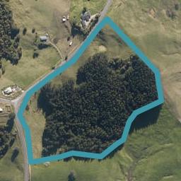 771 Maungakaramea Road, Maungakaramea, Maungakaramea