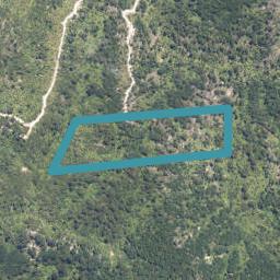 0 Kongahu Swamp Road, Little Wanganui, Karamea