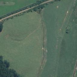 1019 Kopuku Road, Maramarua Forest, Te Kauwhata