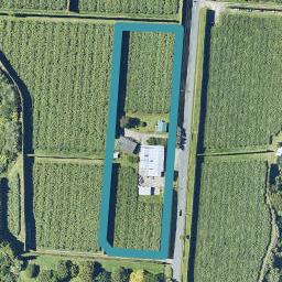 456 Joyce Road, Pyes Pa, Tauranga